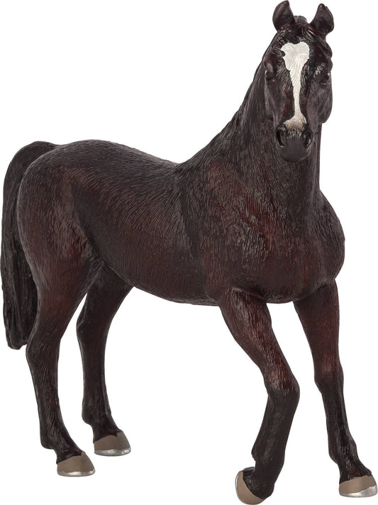 Arabian Stallion - Black