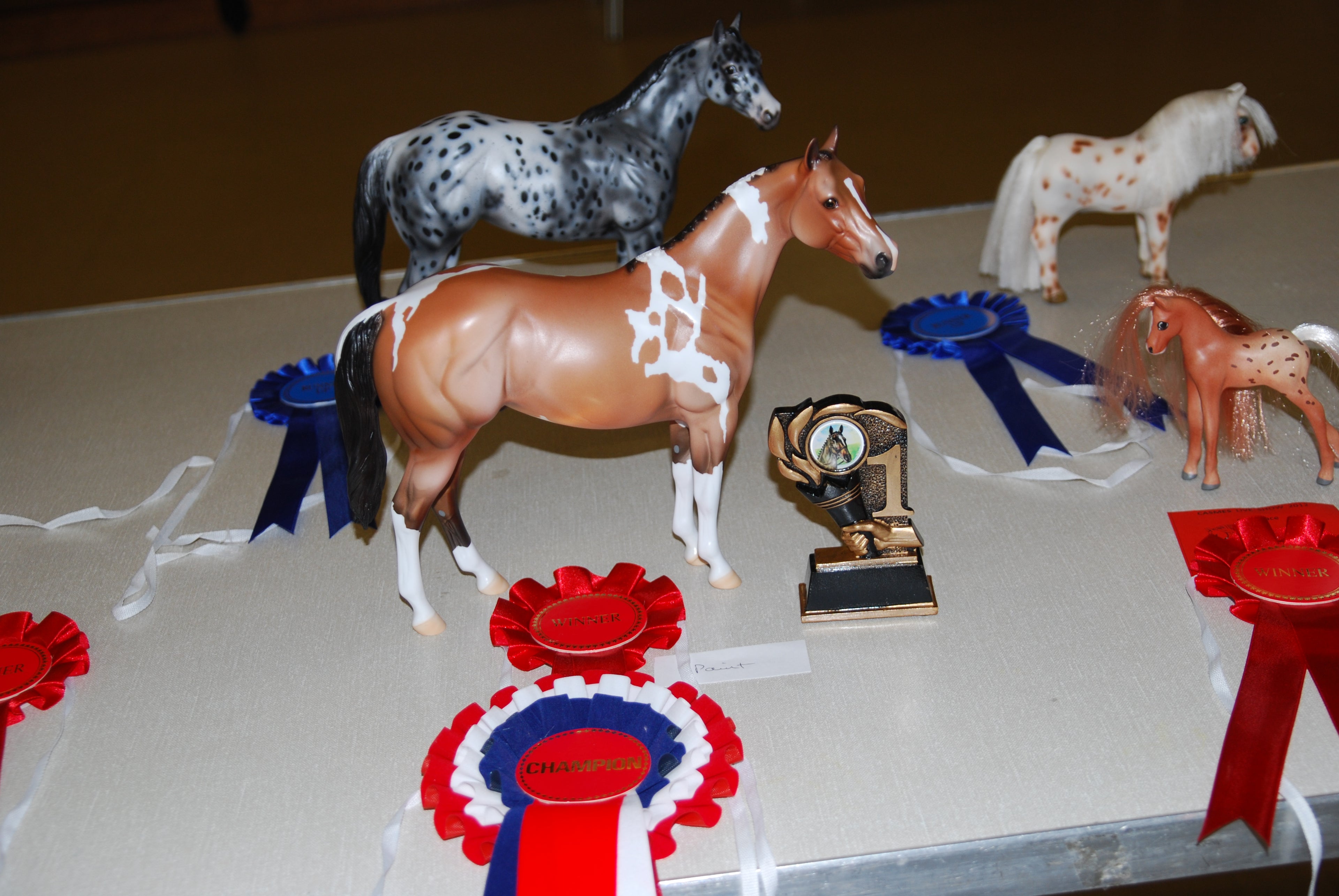 Peter Stone Ideal Stock Horse - Supreme Champion at CASMES Live Show 2012