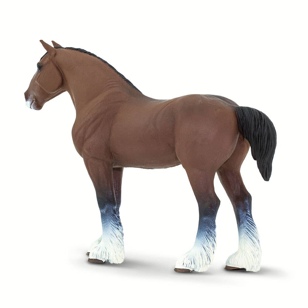 Clydesdale Stallion