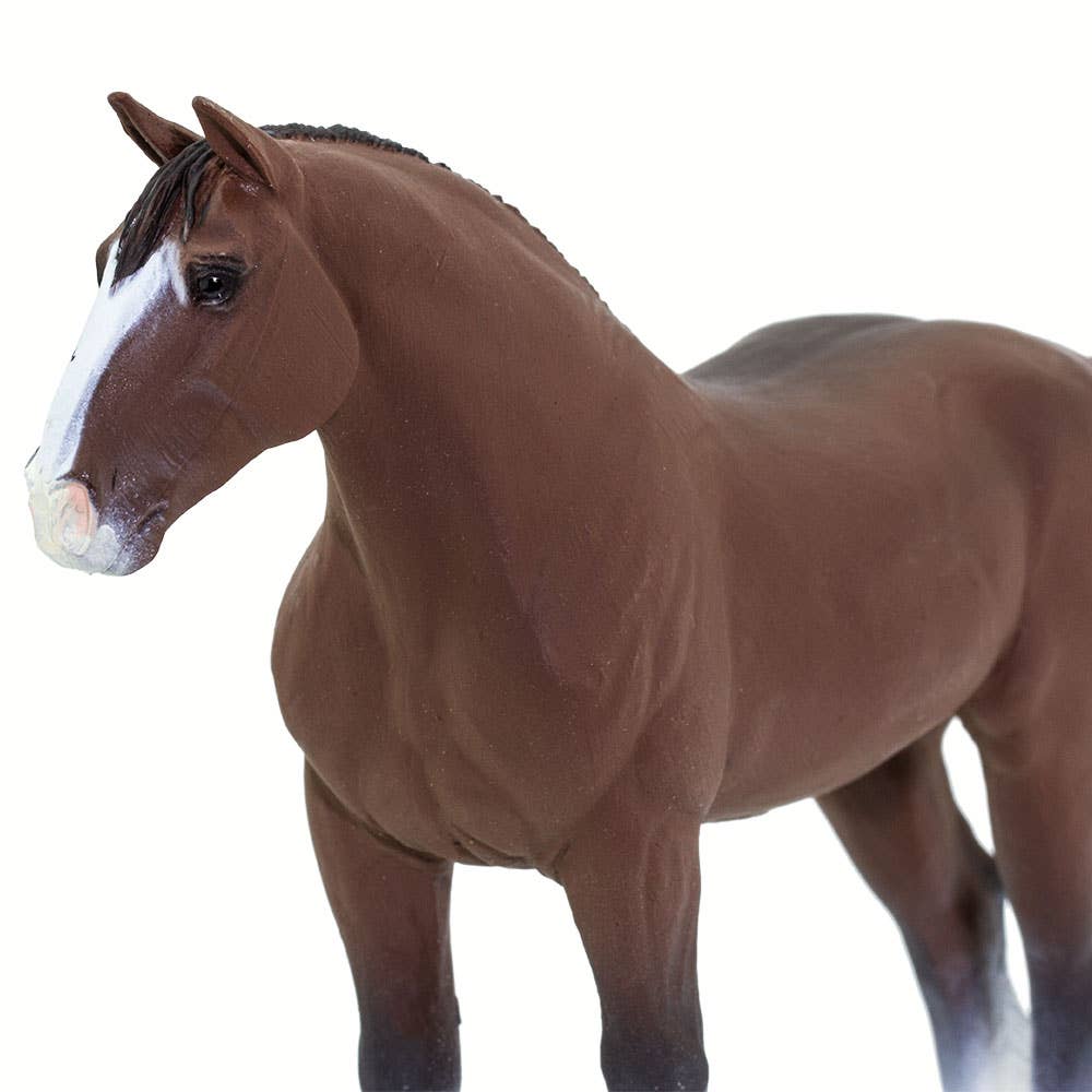 Clydesdale Stallion