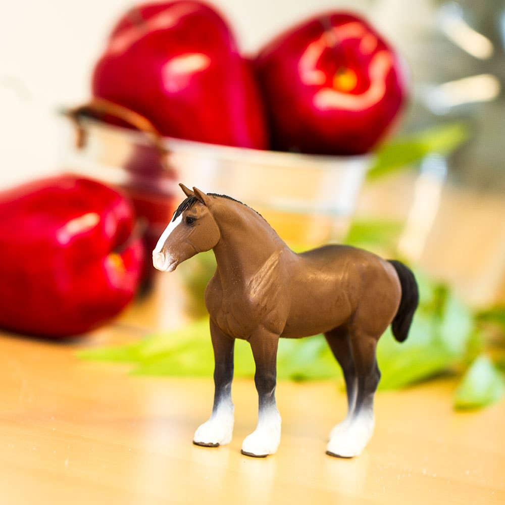 Clydesdale Stallion