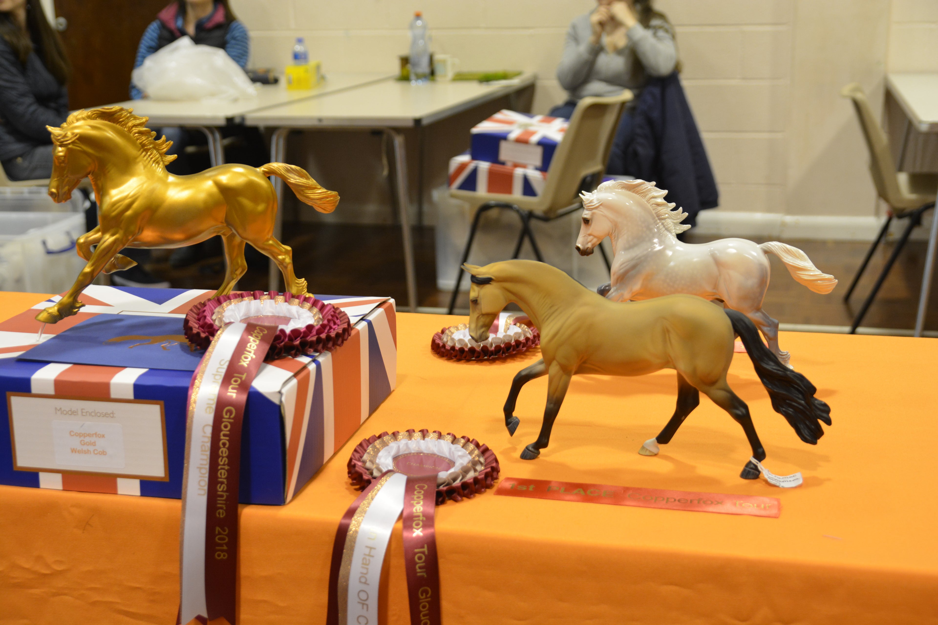 Copperfox Connemara - Supreme Champion at Copperfox Tour Gloucestershire 2018