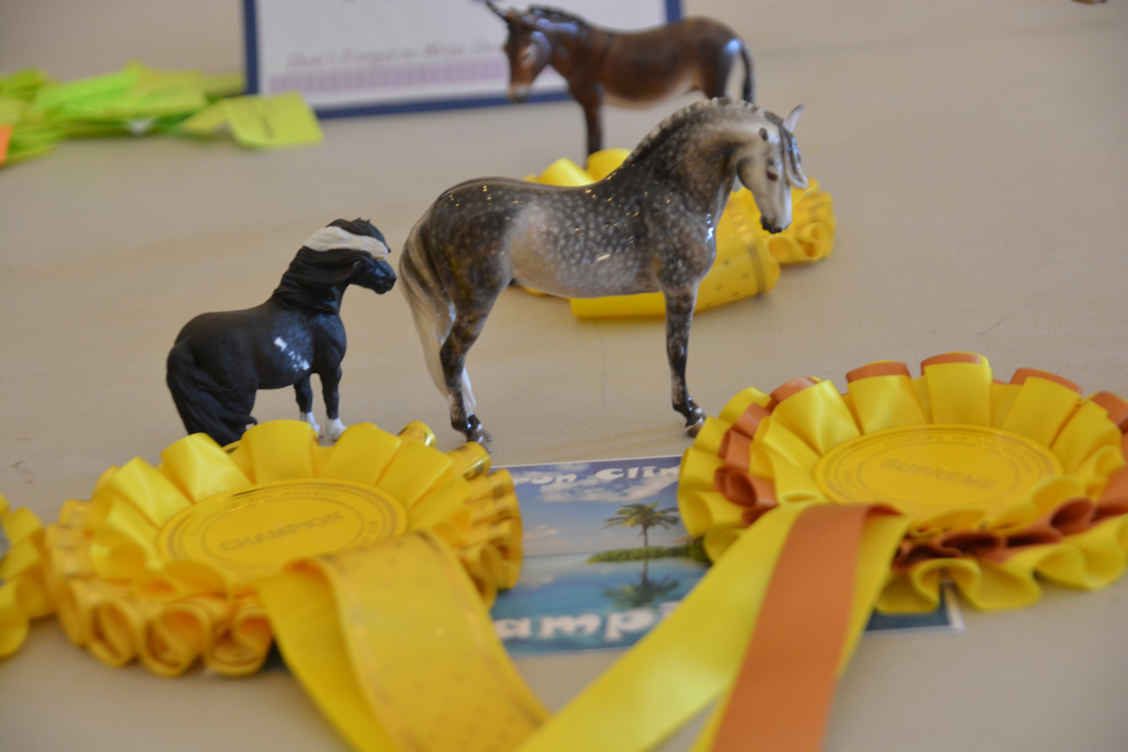Artist China Andalusian - Supreme Champion Crazy Citron Clinkies Live 2017