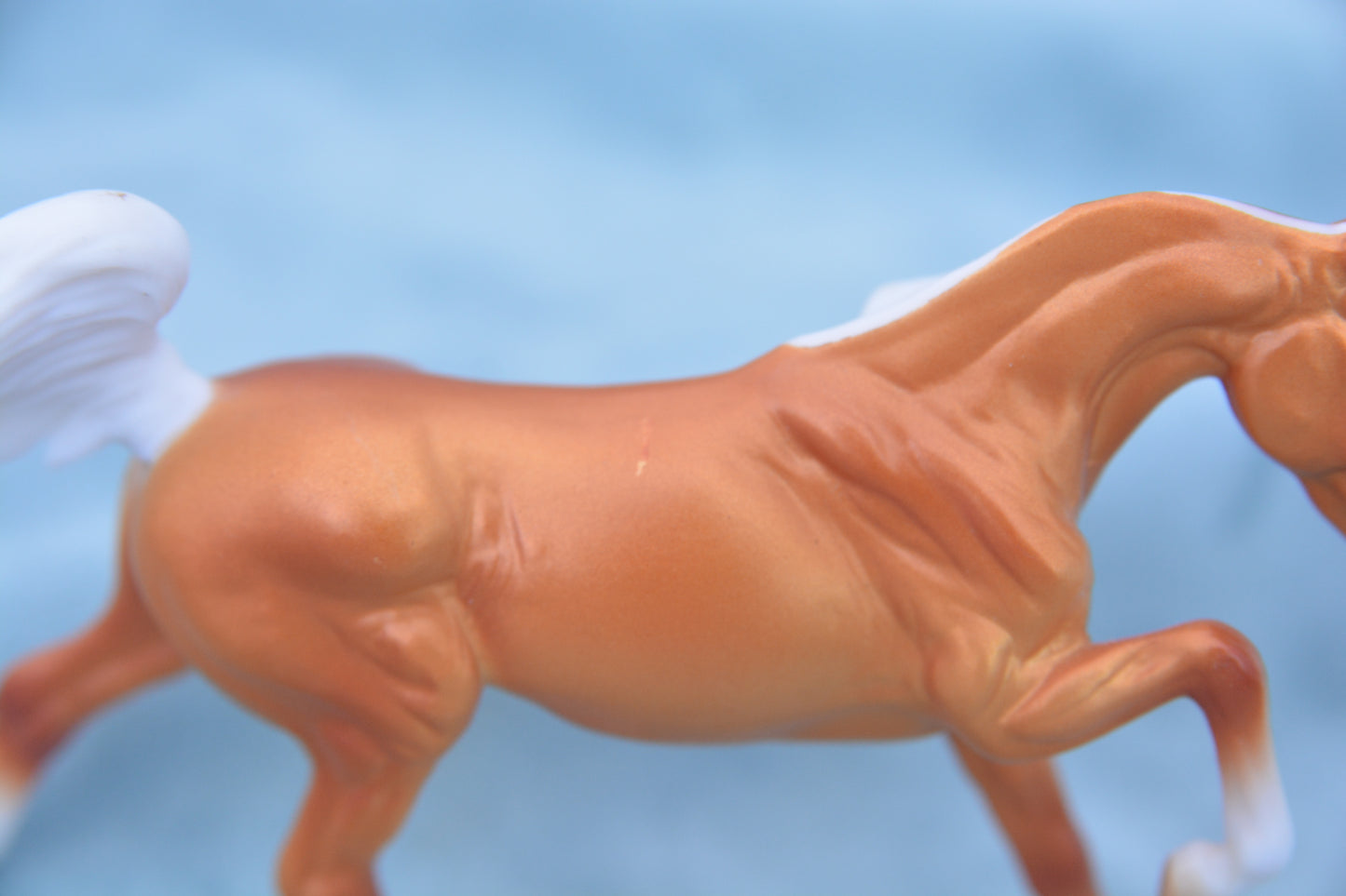 Palomino Galloping Arabian Stallion