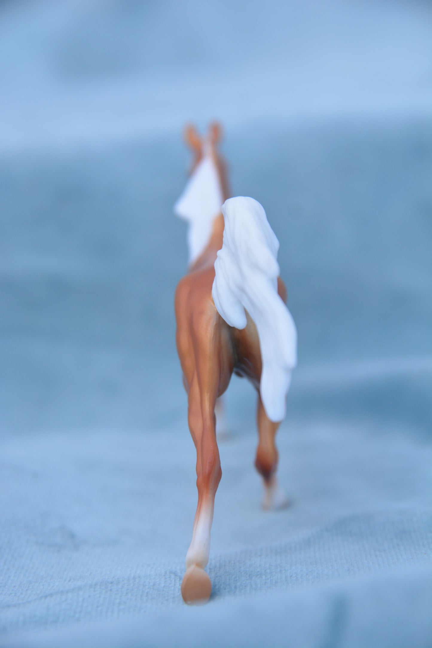 Palomino Galloping Arabian Stallion 2