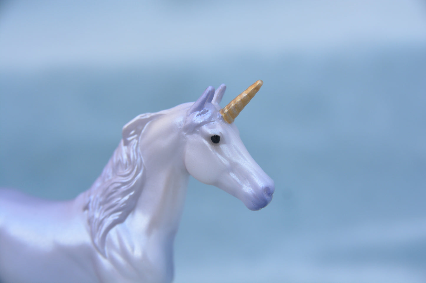 Enchanted Prince Charming