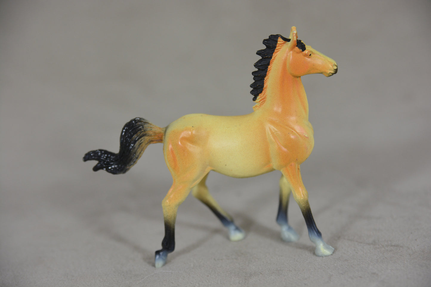 Buckskin Mustang