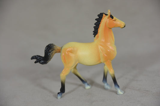Buckskin Mustang