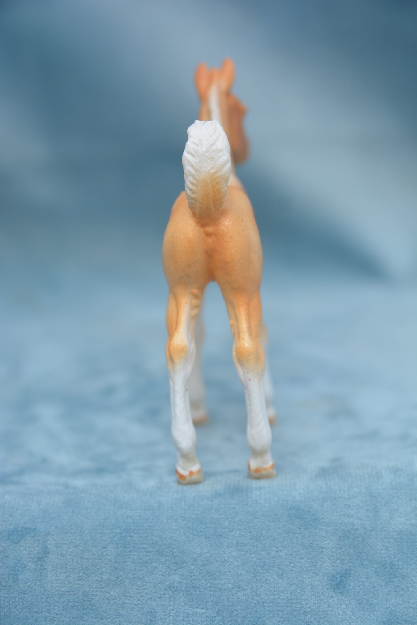 Pinto Foal - Standing