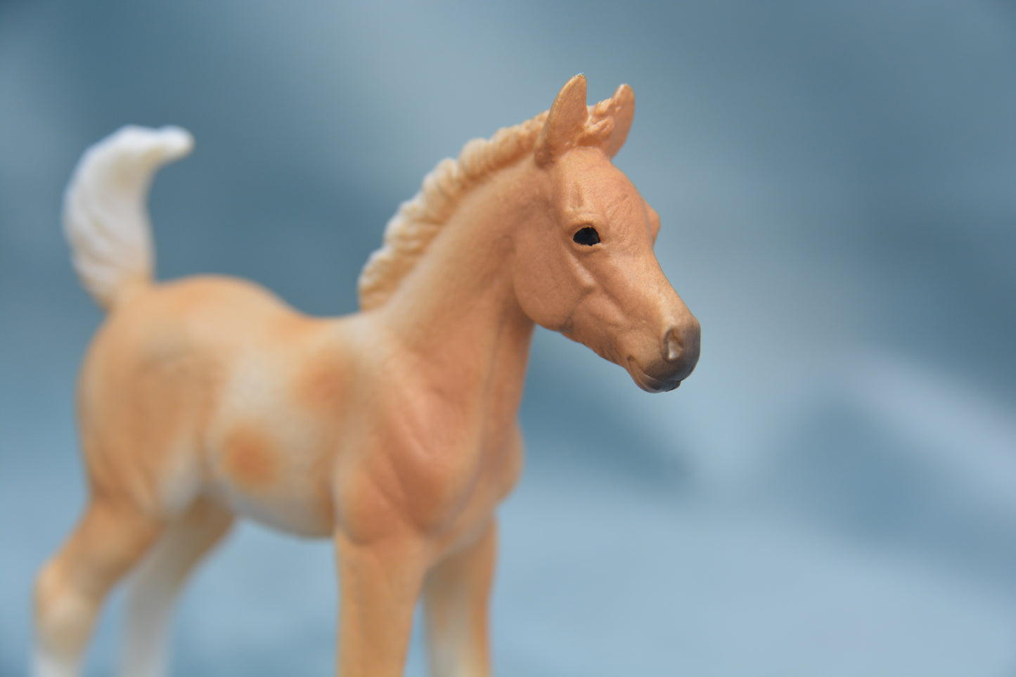 Pinto Foal - Standing