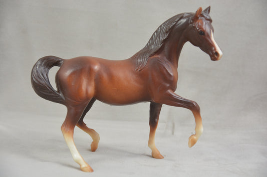 Classic Arabian Family - Mare