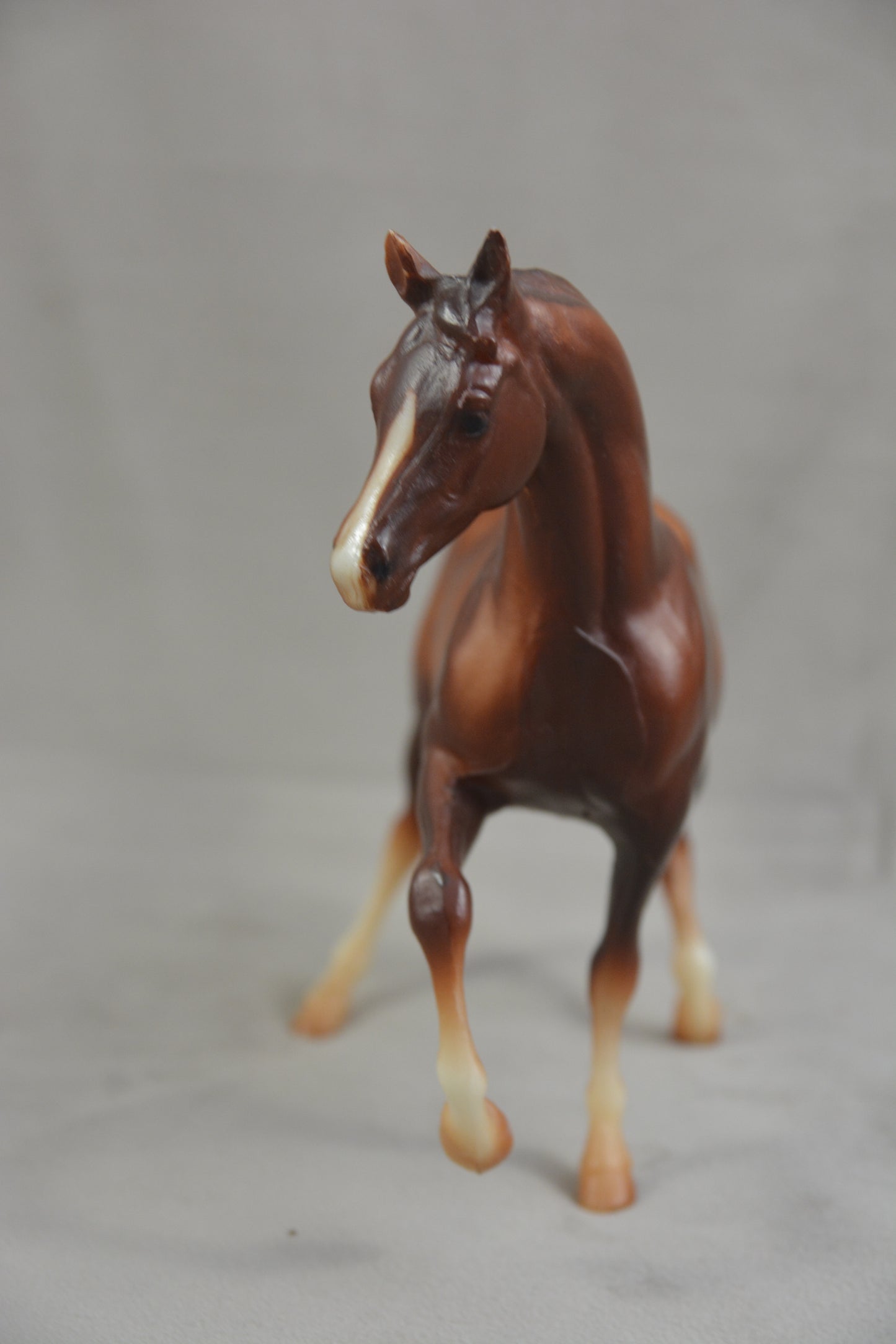 Classic Arabian Family - Mare