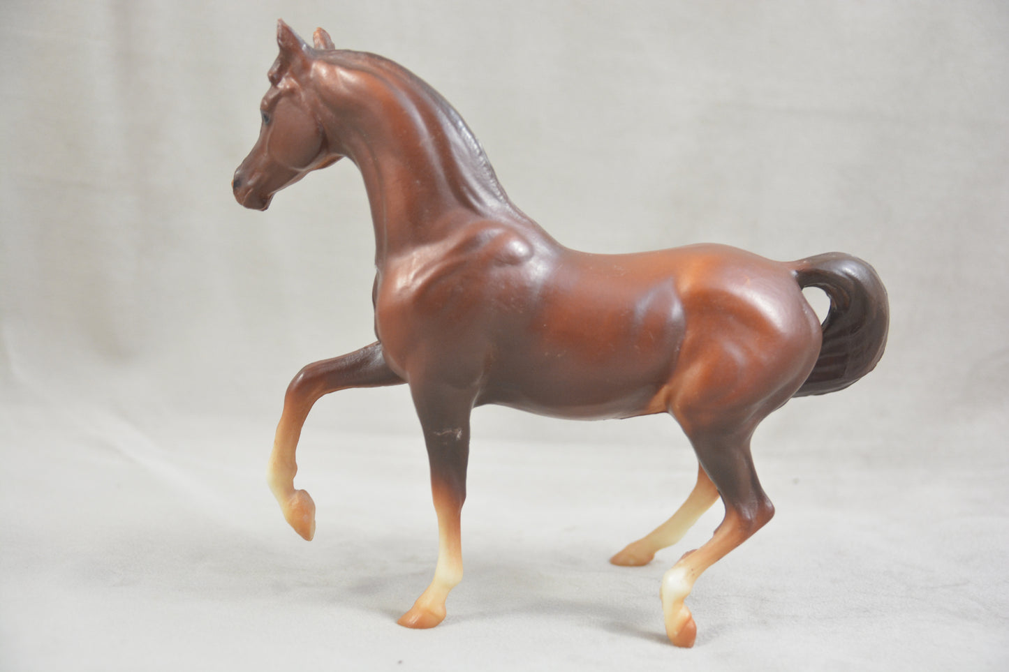 Classic Arabian Family - Mare