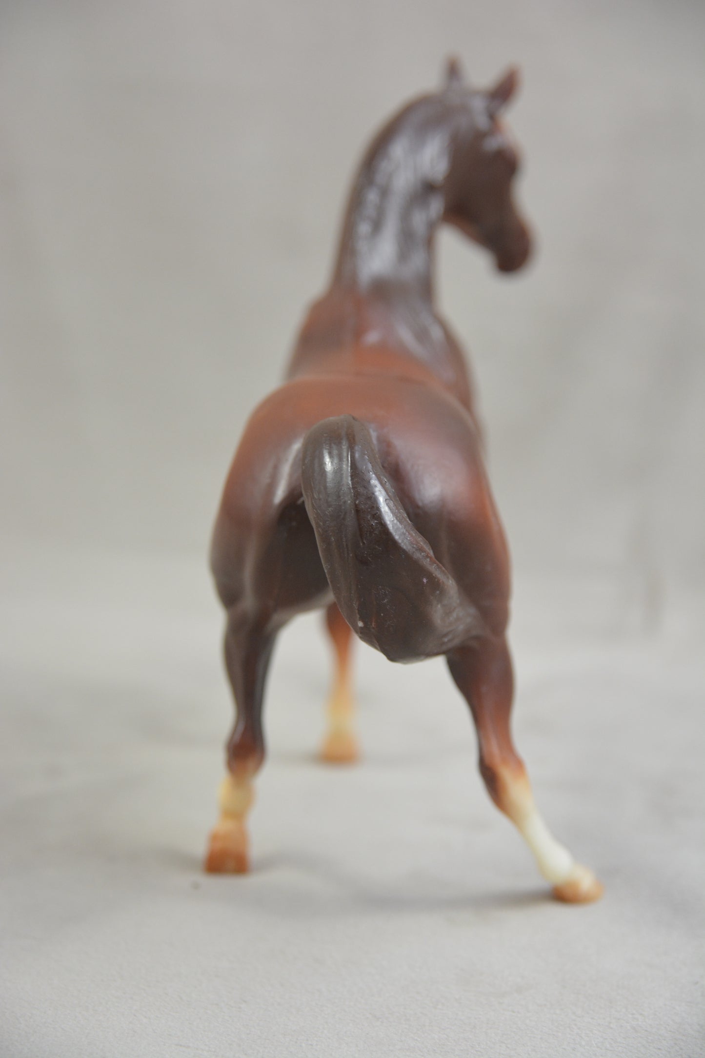 Classic Arabian Family - Mare