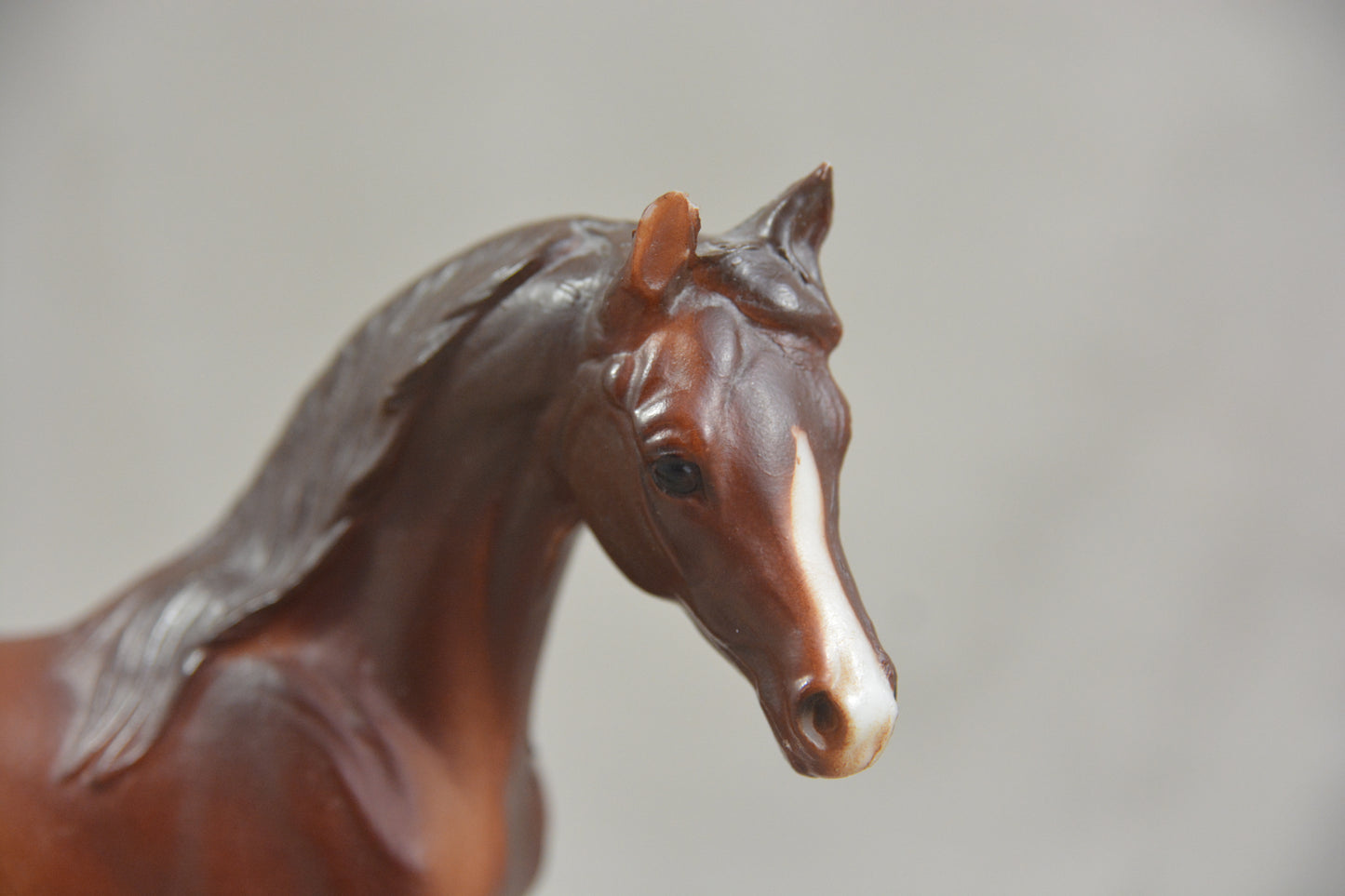Classic Arabian Family - Mare