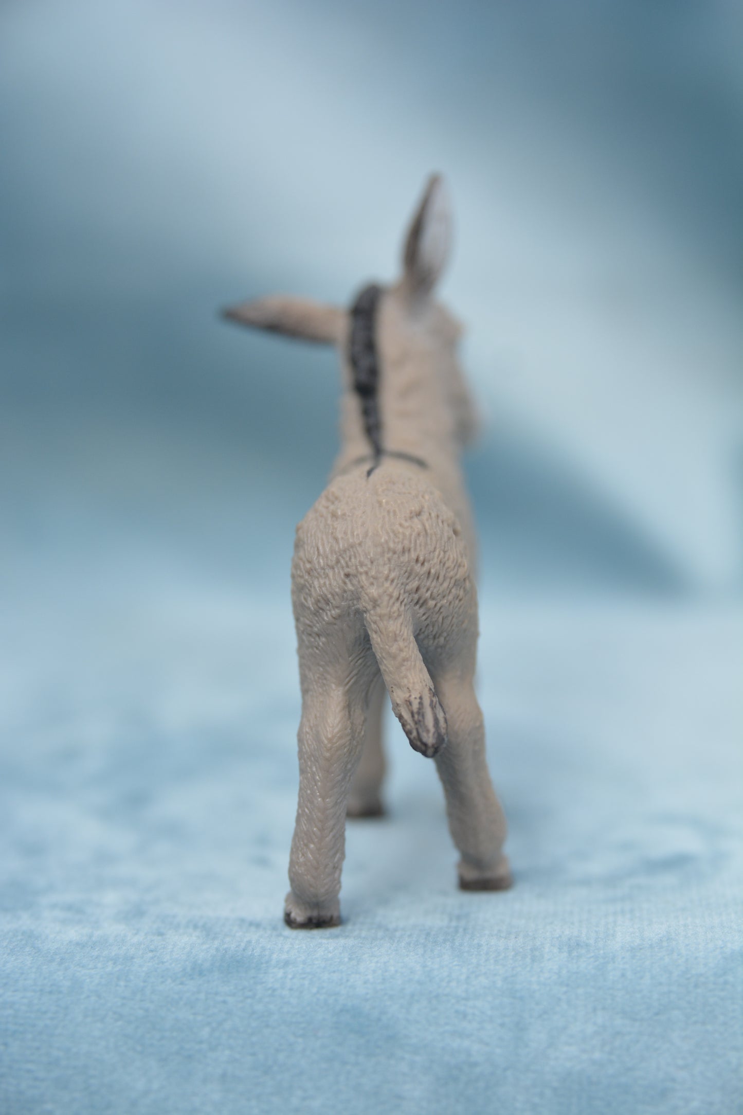 Donkey Foal