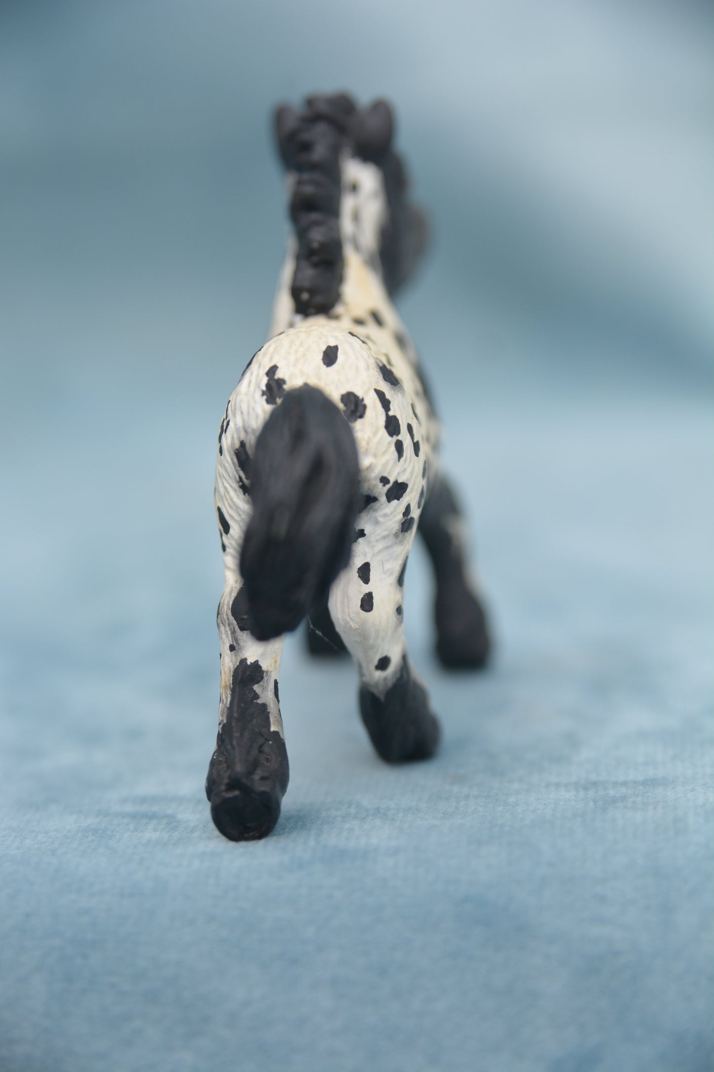 Custom Shetland Foal