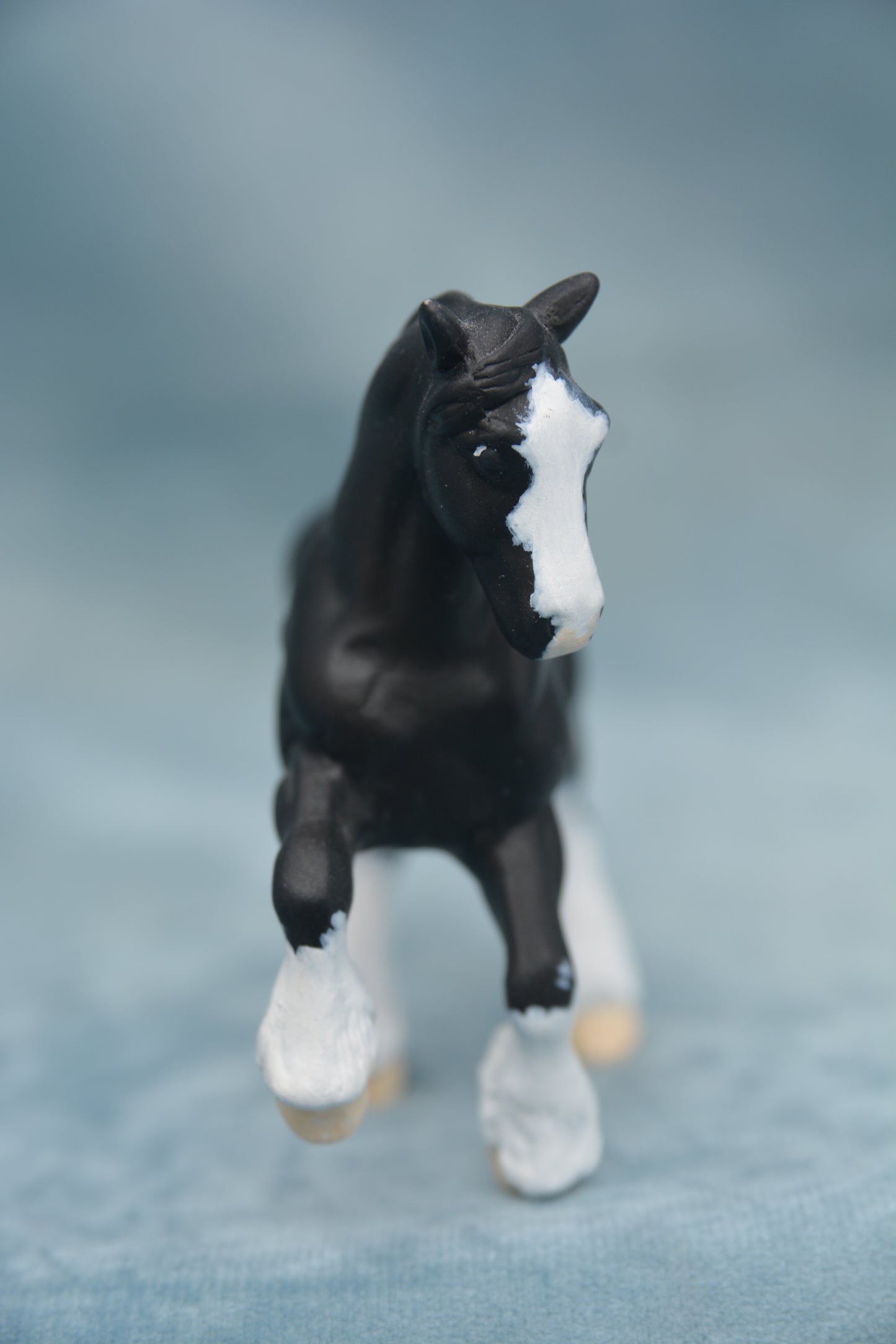 Black Shire