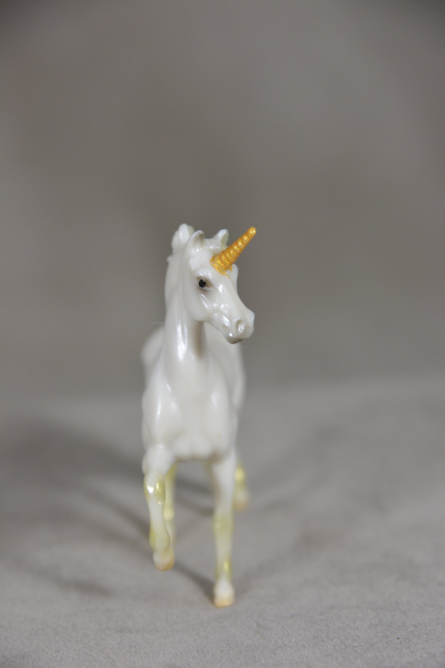 Windswept G2 Morgan 1