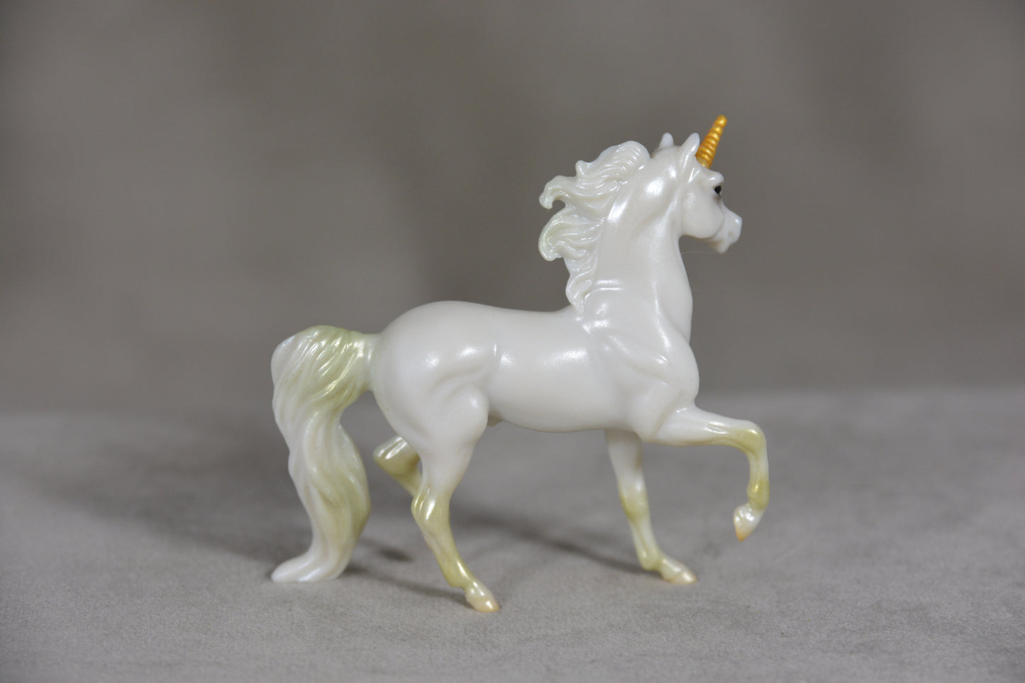 Windswept G2 Morgan 1