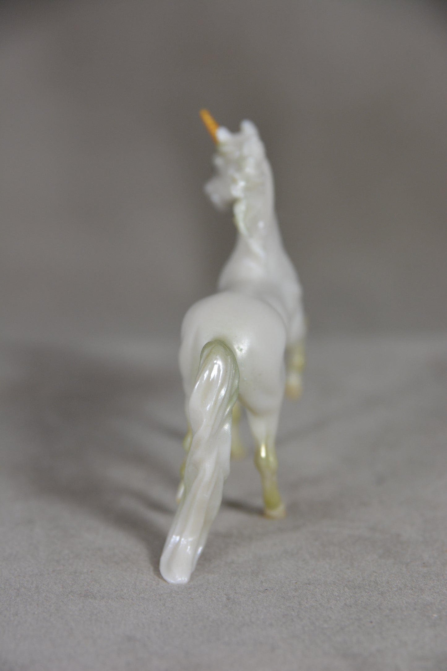 Windswept G2 Morgan 1