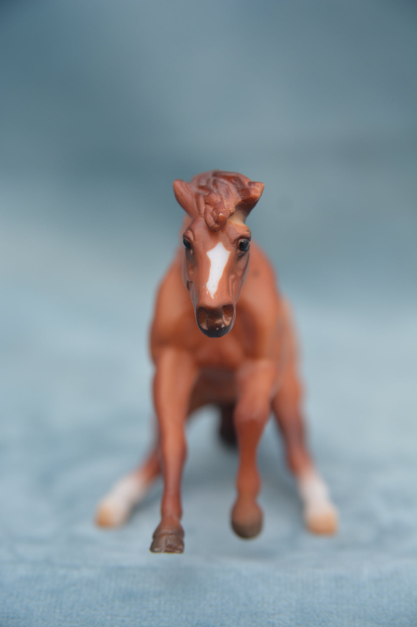 Mystery Horse Surprise - Reining