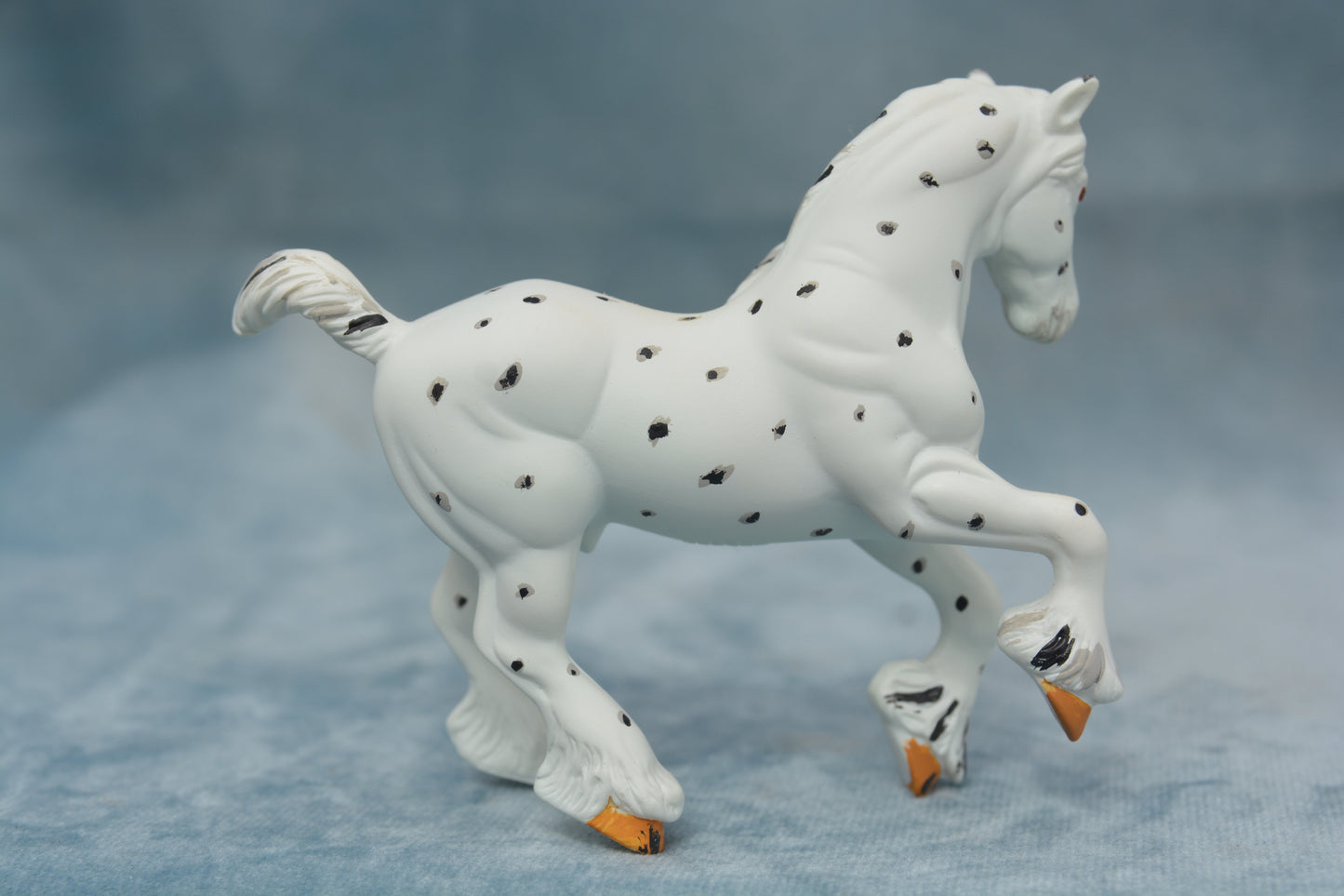 Spotted G2 Clydesdale