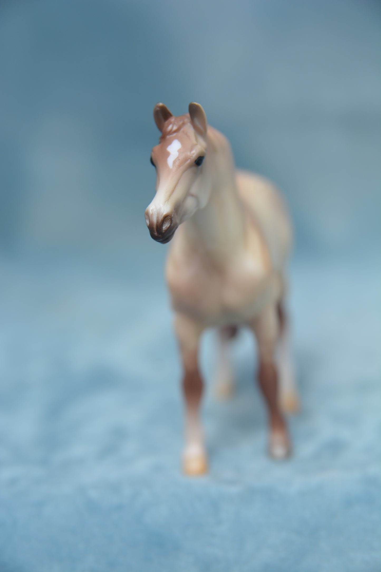 Stable Surprise Warmblood
