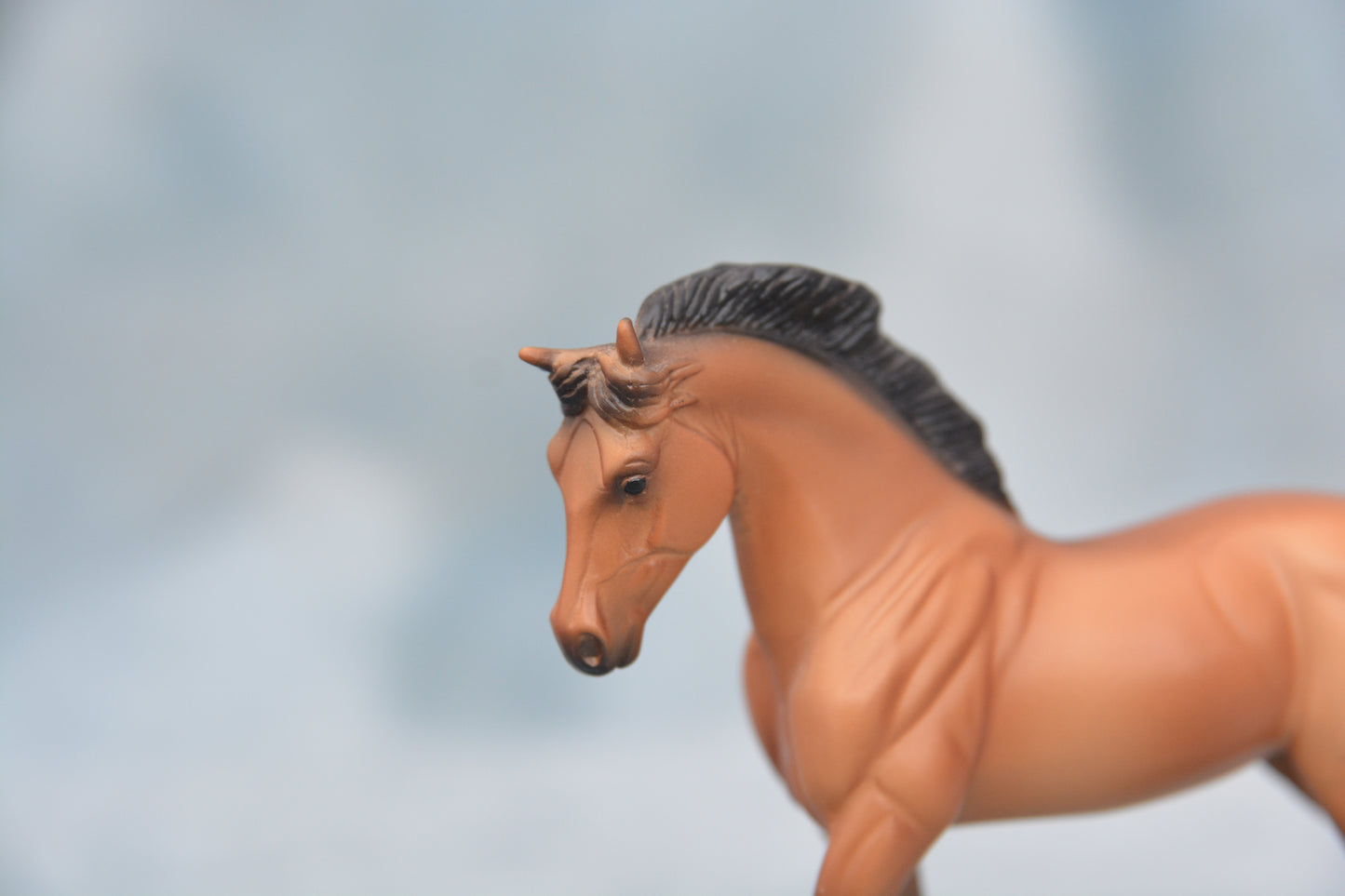 Roll and Go Warmblood