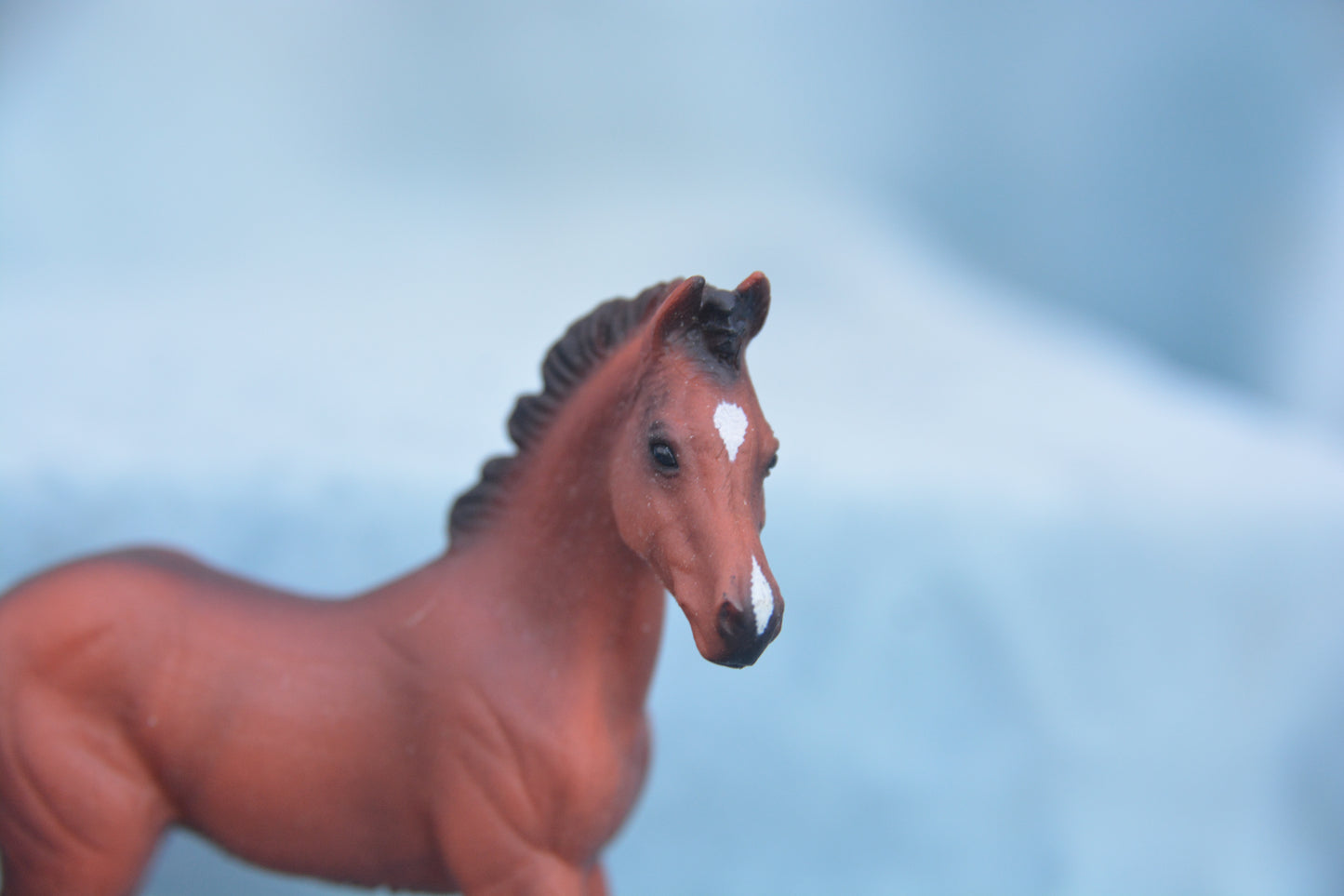 Bay Quarter Horse Foal