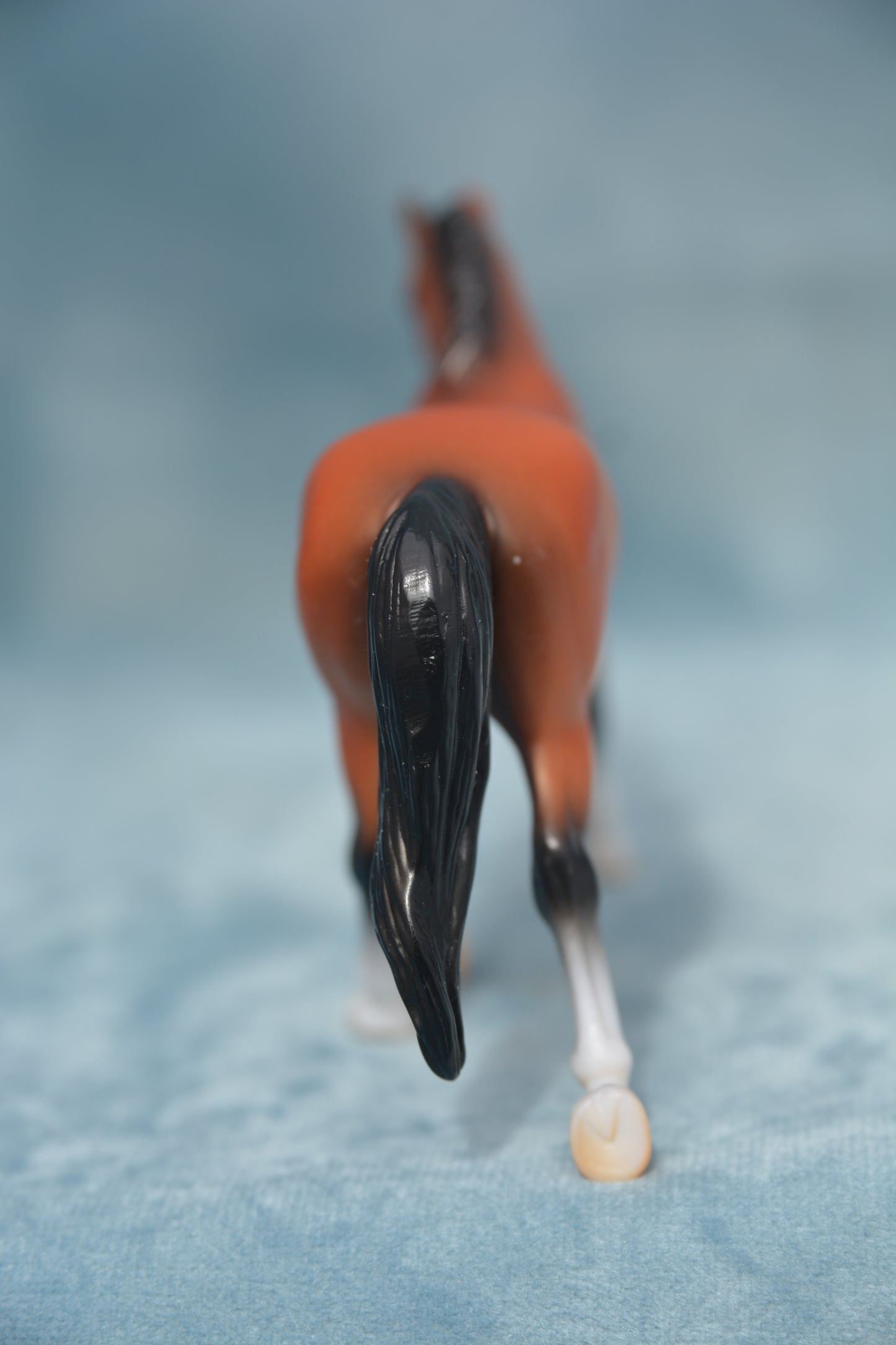 Warmblood