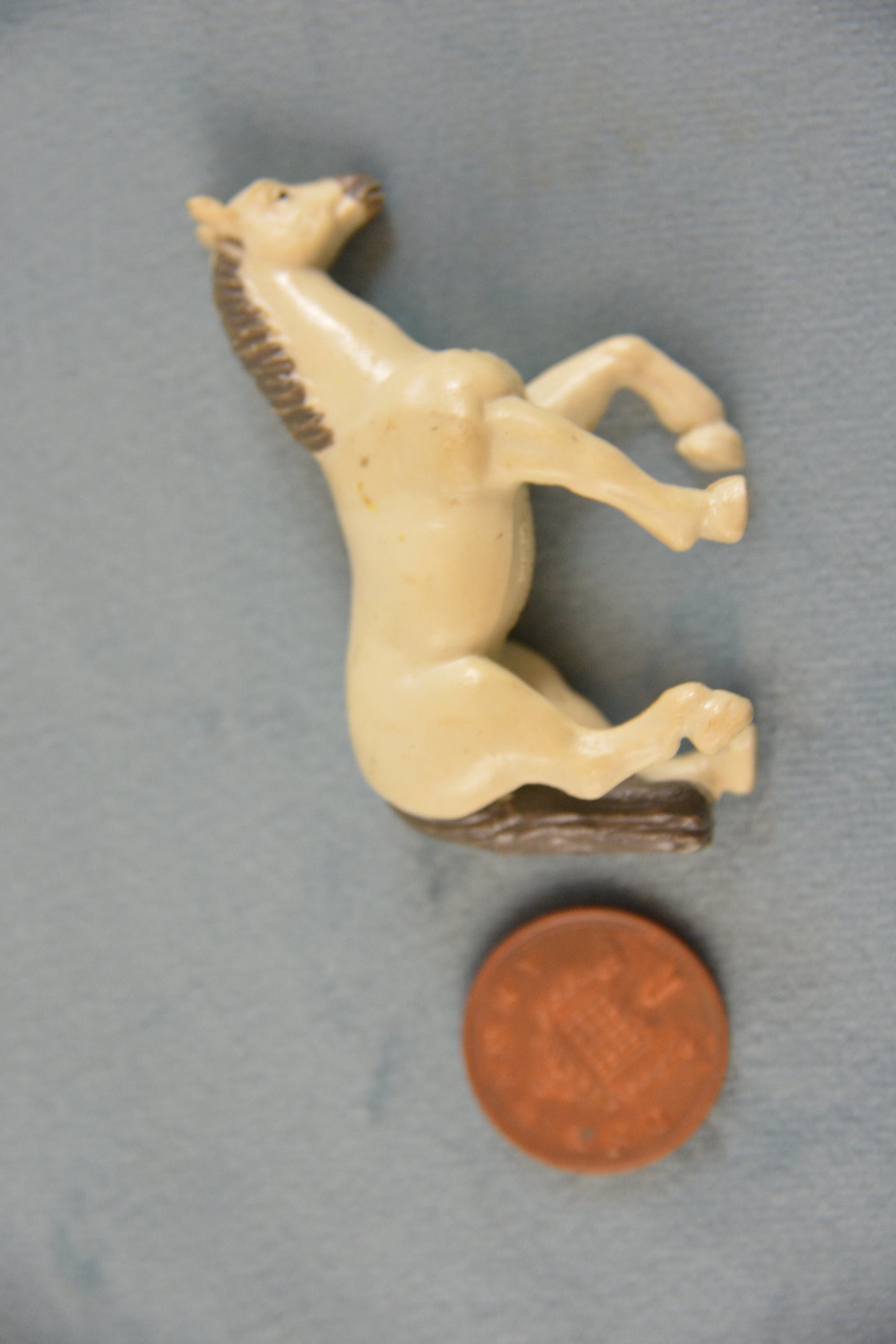 Trakehner
