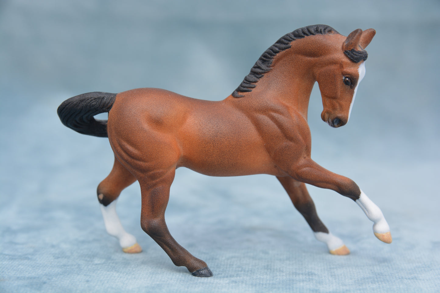 Bay G2 Warmblood