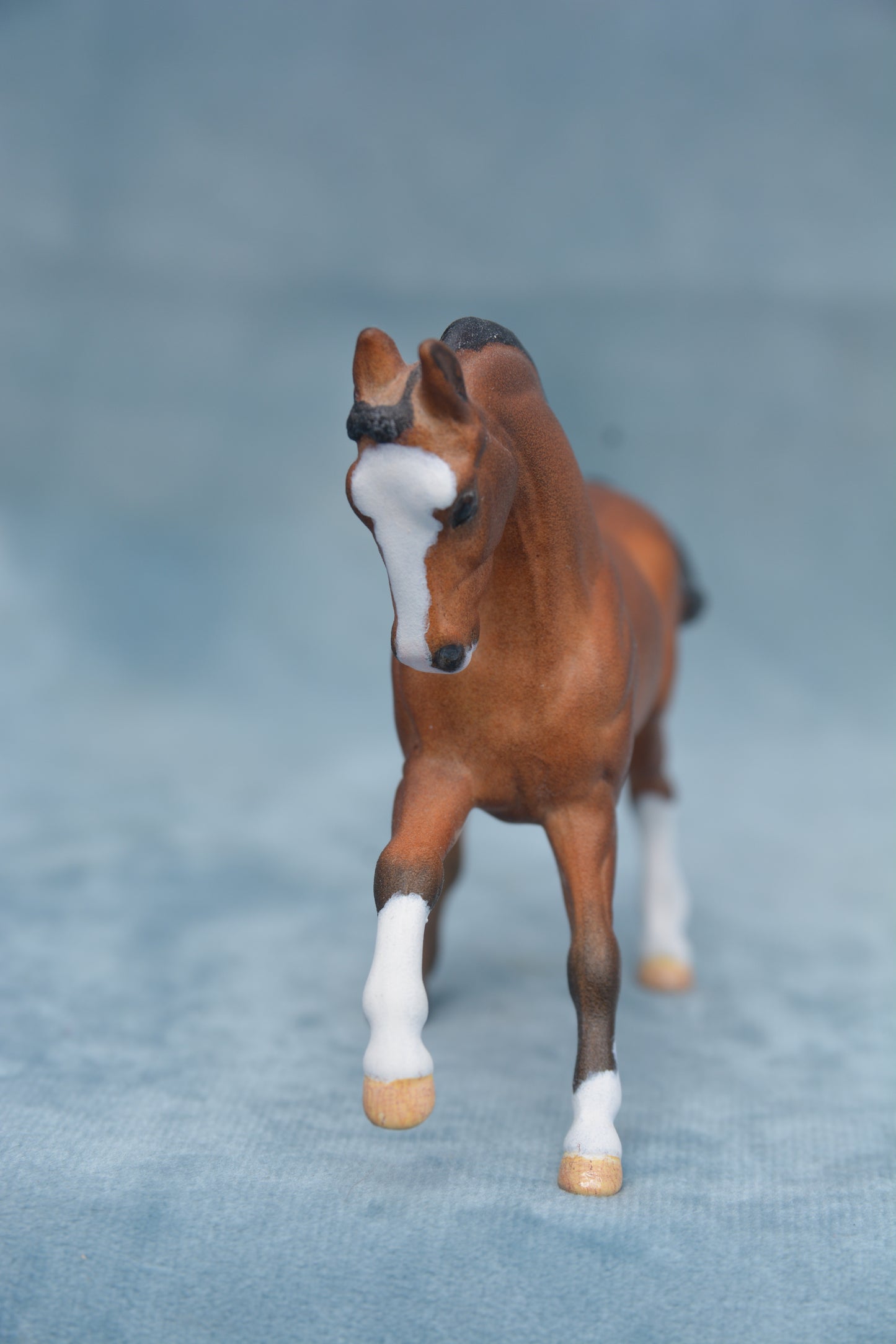 Bay G2 Warmblood
