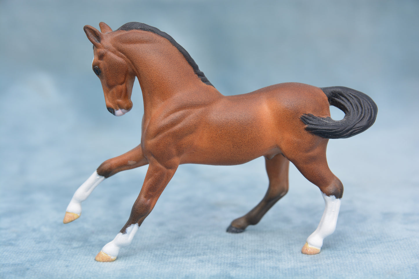 Bay G2 Warmblood