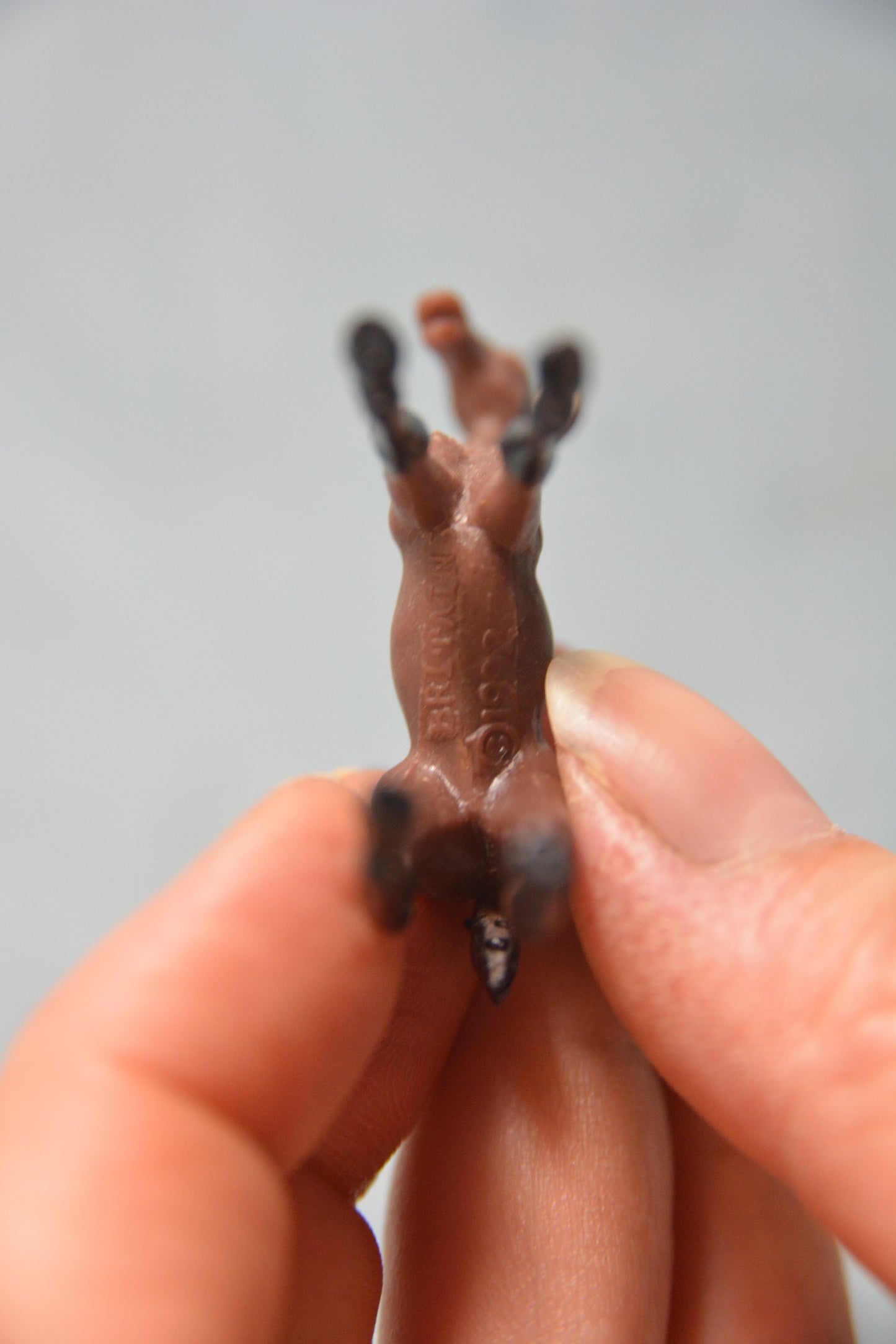 Britains Foal