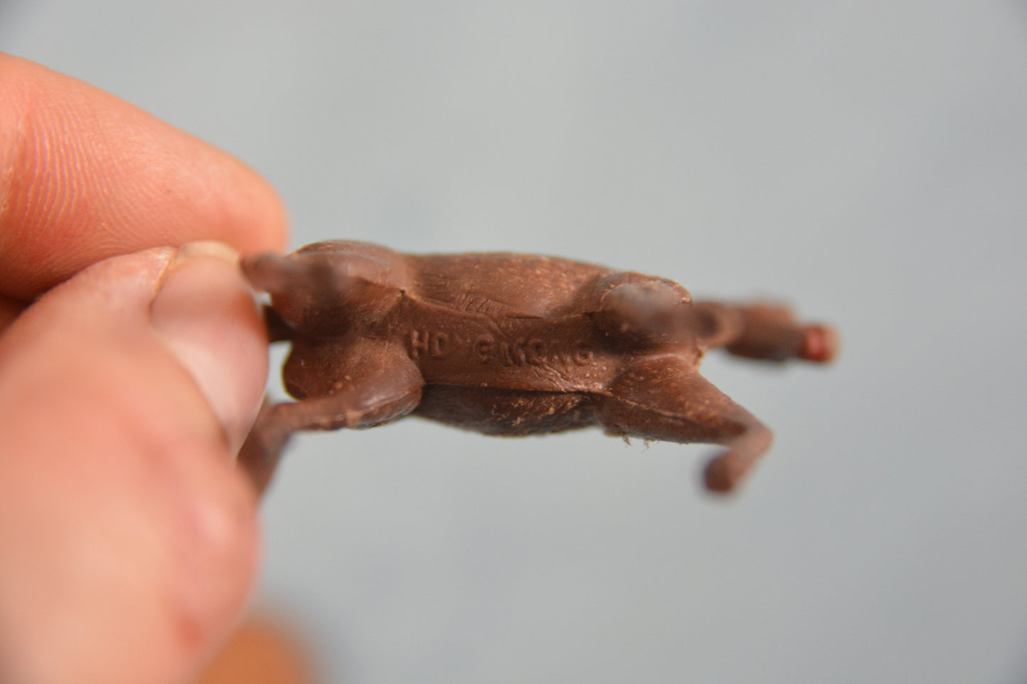 Chestnut Horse