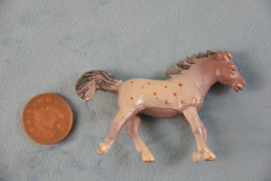 Safari Appaloosa