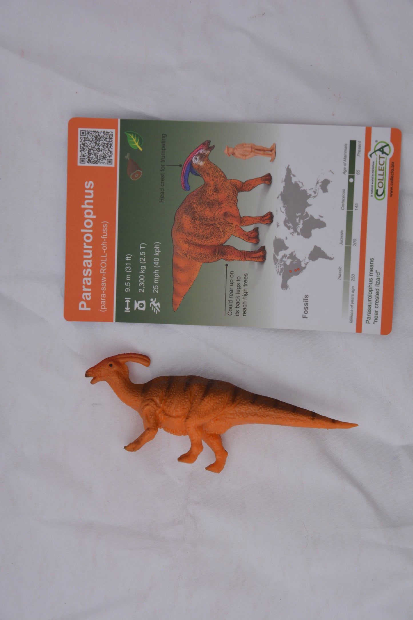 CollectA AR Parasaurolophus #2