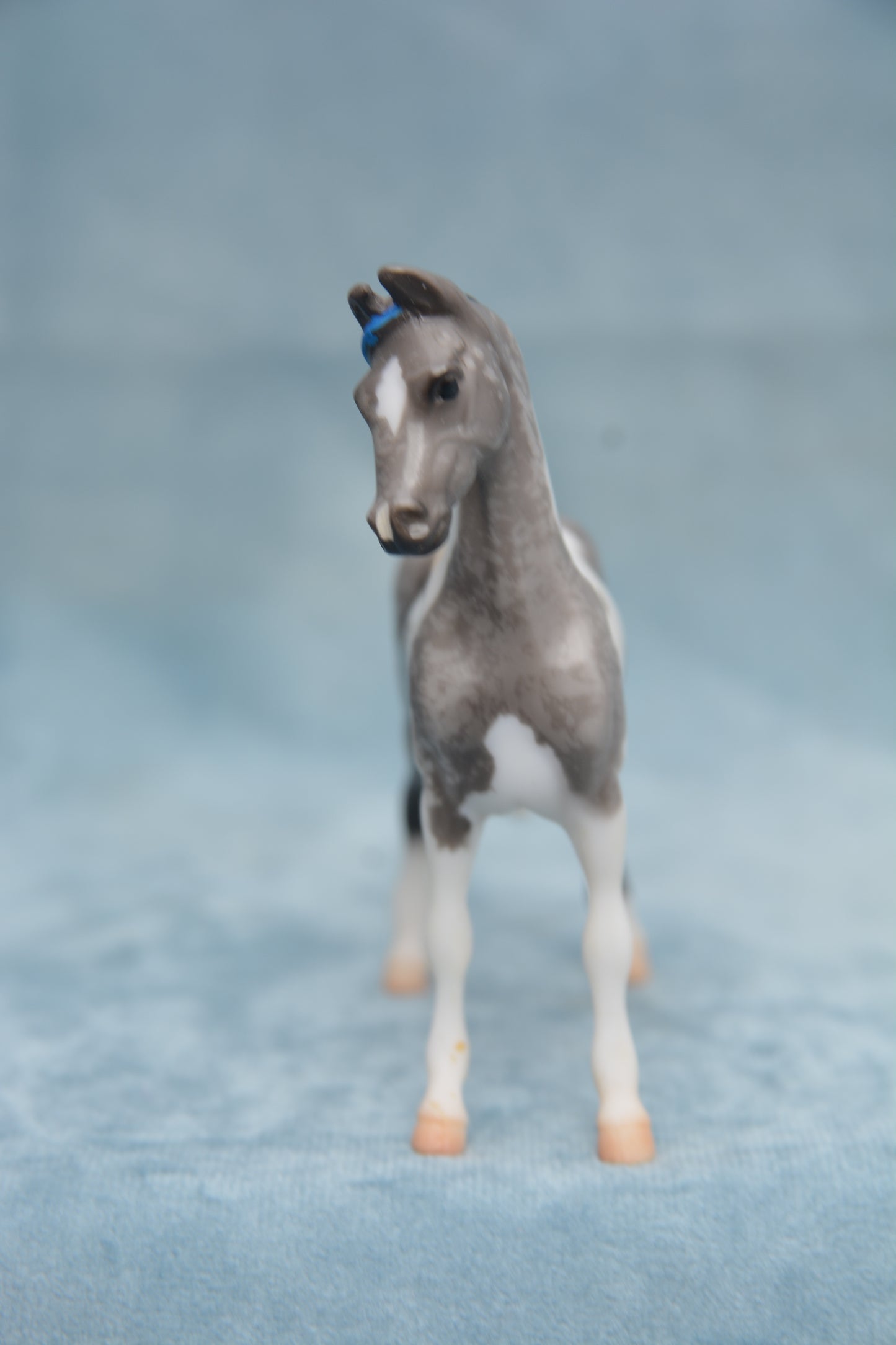 Horse Lover's Saddlebred