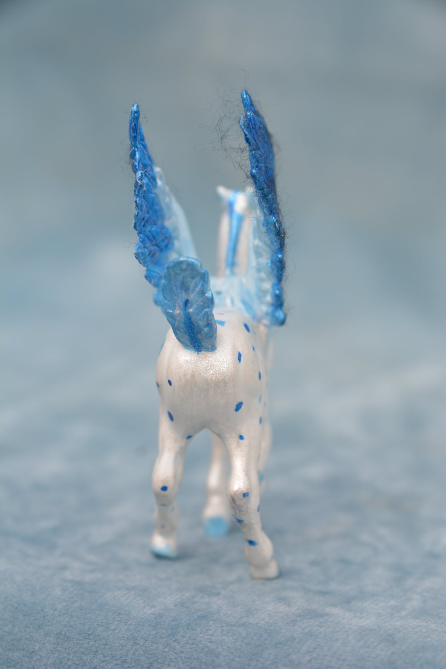 Pegasus Foal