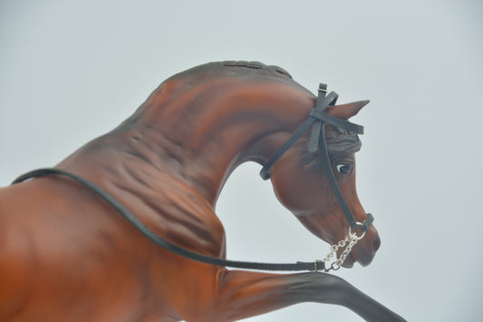 Black Leather Arabian Halter