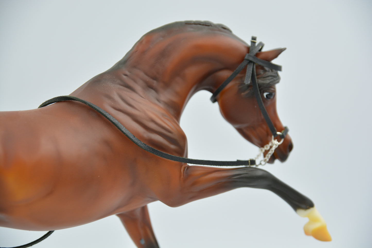 Black Leather Arabian Halter