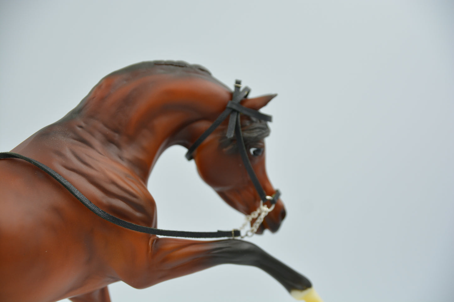 Black Leather Arabian Halter