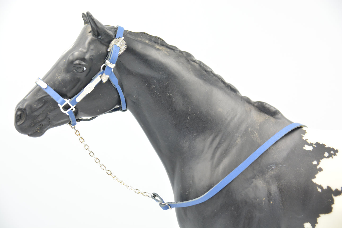 Blue Showmanship Halter