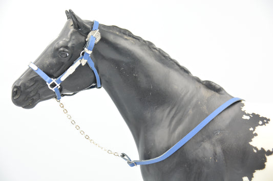 Blue Showmanship Halter