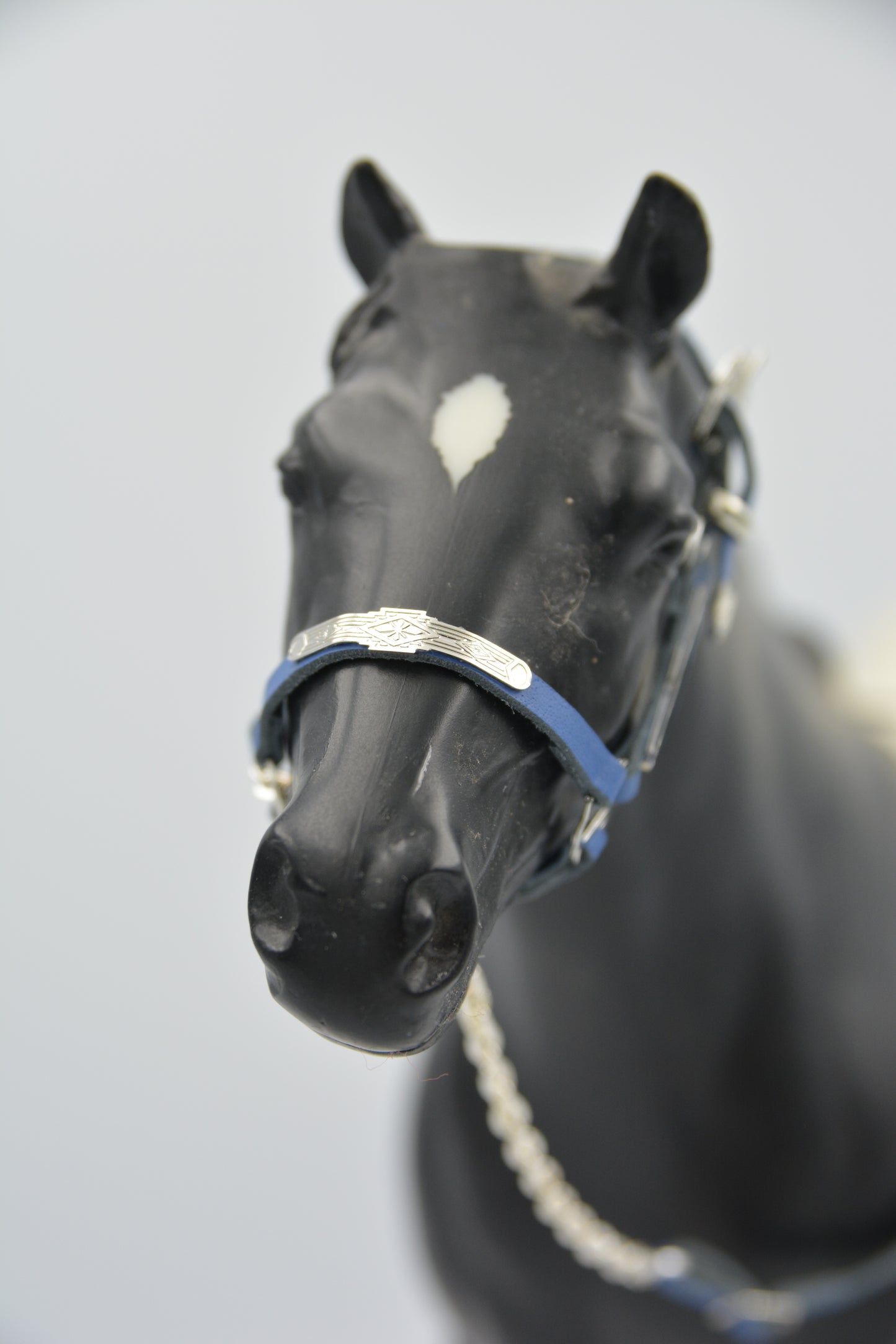 Blue Showmanship Halter