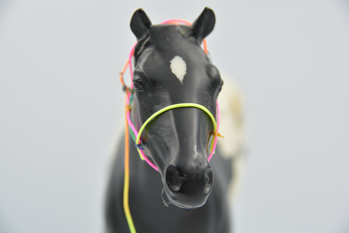 Rainbow Halter