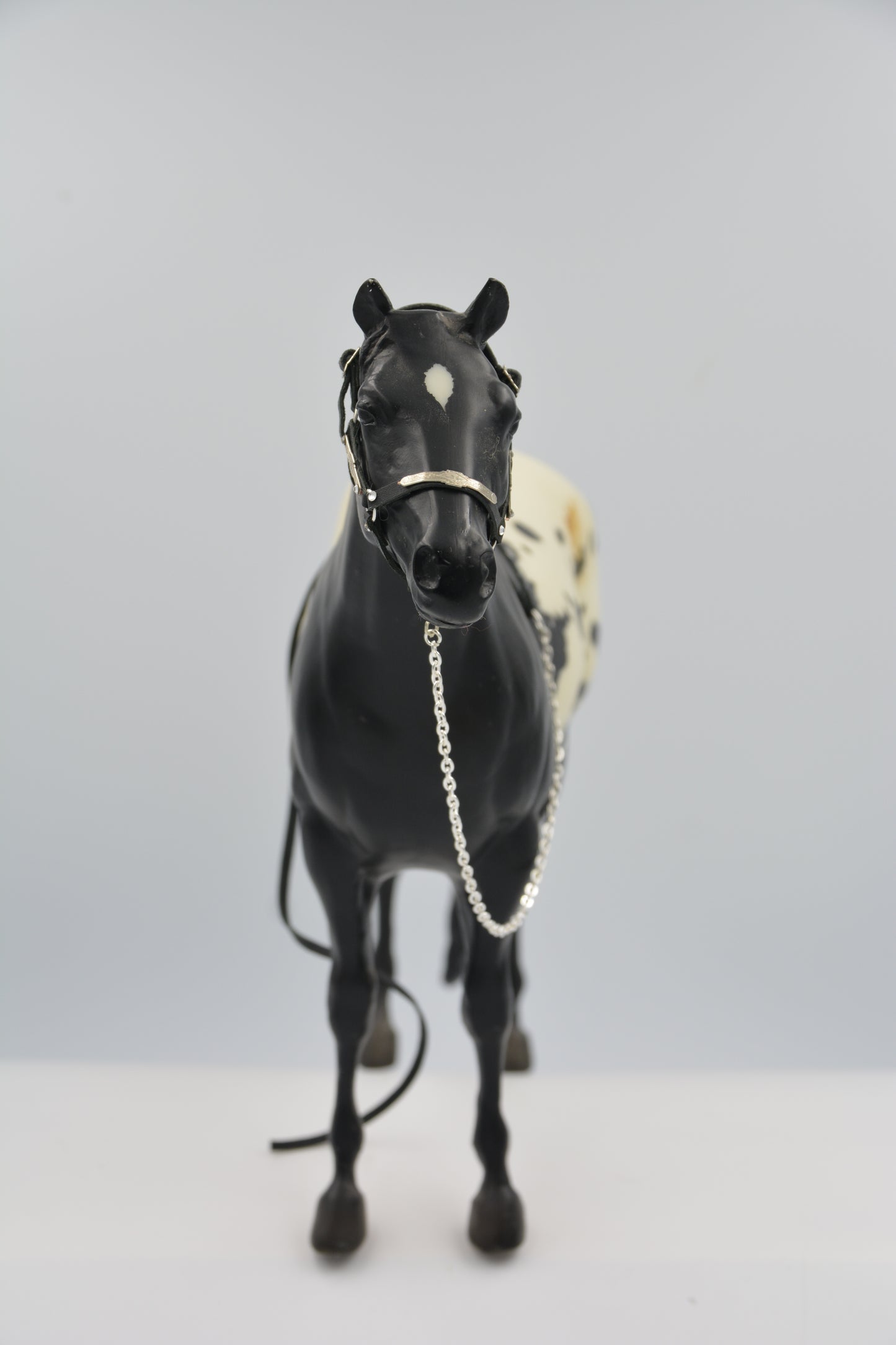 Black Showmanship Halter