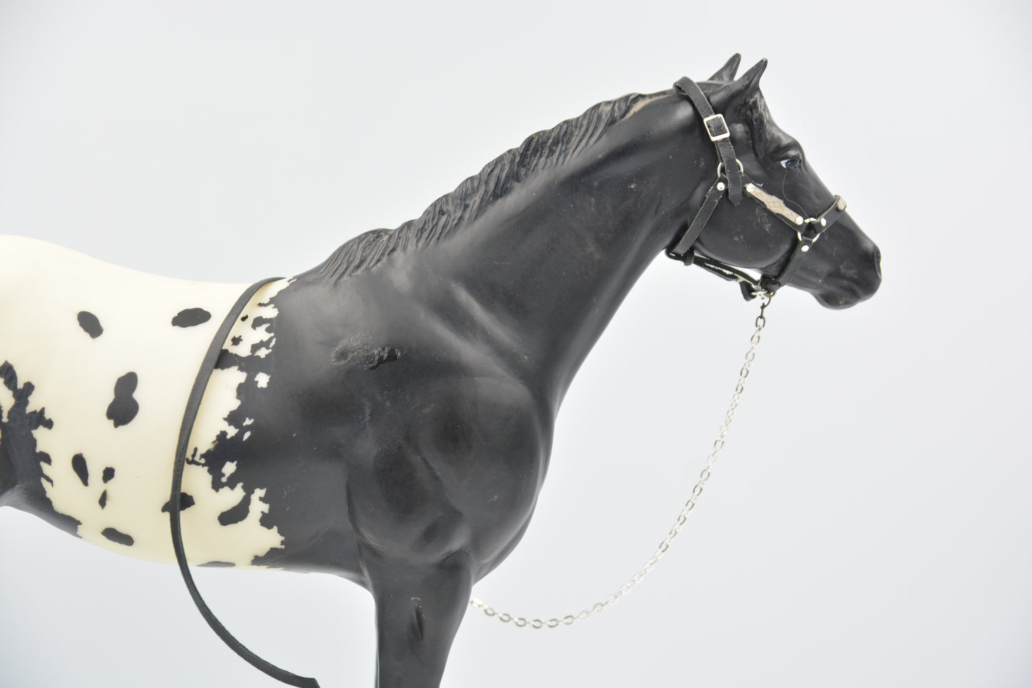 Black Showmanship Halter